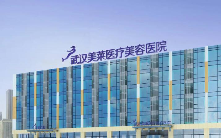 武漢美萊醫(yī)療美容醫(yī)院.jpg