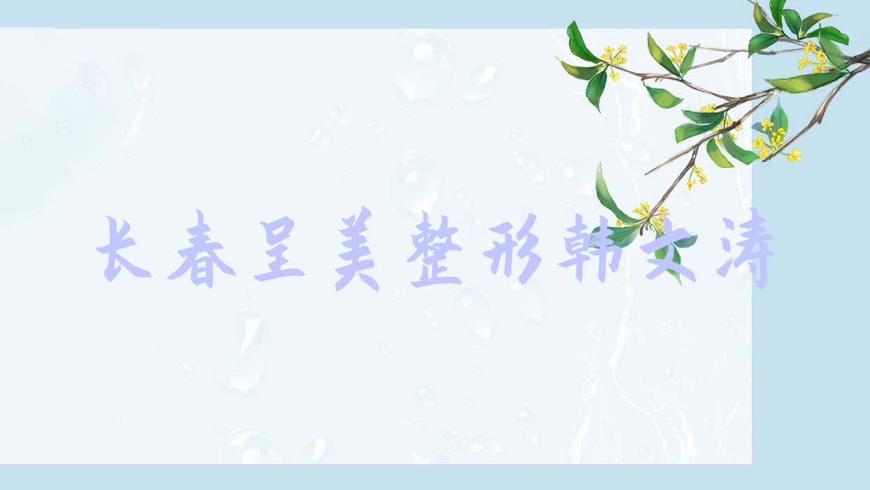 長春呈美整形韓文濤