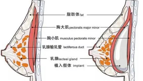 QQ截圖20211115122229.jpg QQ截圖20211115122229.jpg