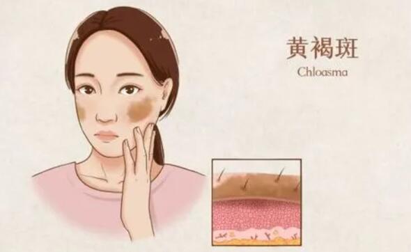 QQ截圖20221130172557.jpg QQ截圖20221130172557.jpg