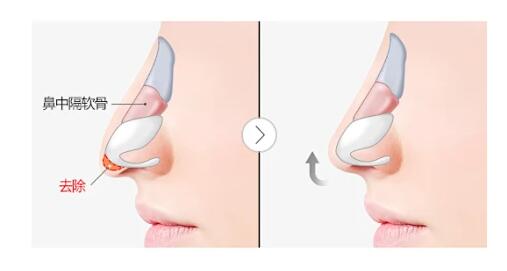 QQ截圖20231226122014.jpg QQ截圖20231226122014.jpg