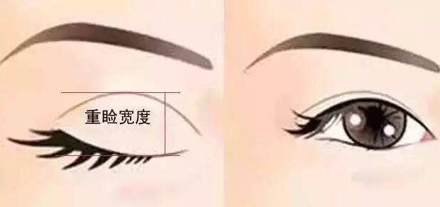 QQ截圖20220119174958.jpg QQ截圖20220119174958.jpg