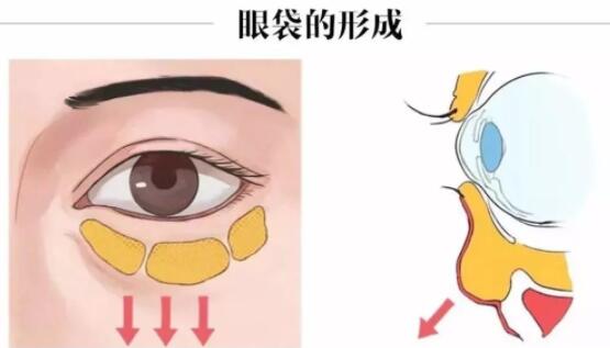 QQ截圖20240202141729.jpg QQ截圖20240202141729.jpg