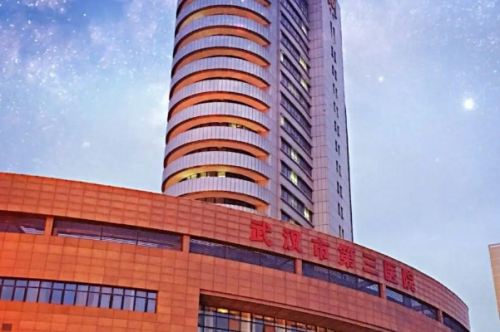 武漢市第三醫(yī)院3.png