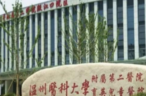 溫州醫(yī)科大學(xué)附屬第二醫(yī)院去眼袋怎么樣?徐海艇|李曉陽(yáng)醫(yī)生技術(shù)風(fēng)格