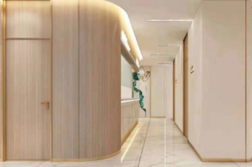 廣州市佳人醫(yī)療美容吸脂怎么樣?董東善|李宗磊醫(yī)生水準(zhǔn)測評(píng)