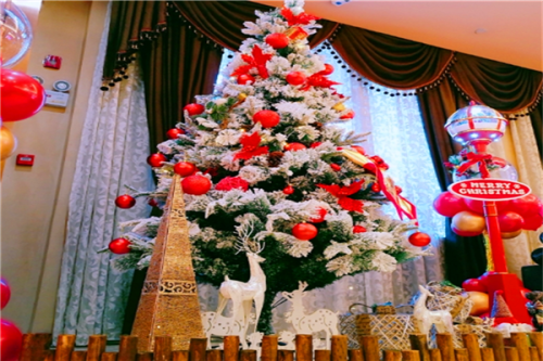 杭州瑞麗醫(yī)療美容醫(yī)院女人過(guò)大下頜角整形費(fèi)用標(biāo)準(zhǔn)?宋建良|蹇洪醫(yī)生技術(shù)水平