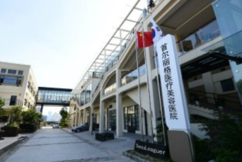 上海首爾麗格醫(yī)療美容醫(yī)院.png