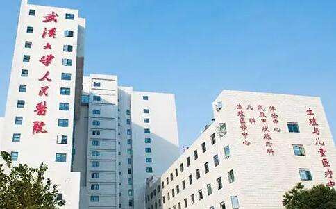 武漢大學(xué)人民醫(yī)院.jpg