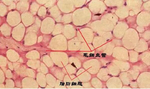 QQ截圖20210910115956.jpg QQ截圖20210910115956.jpg