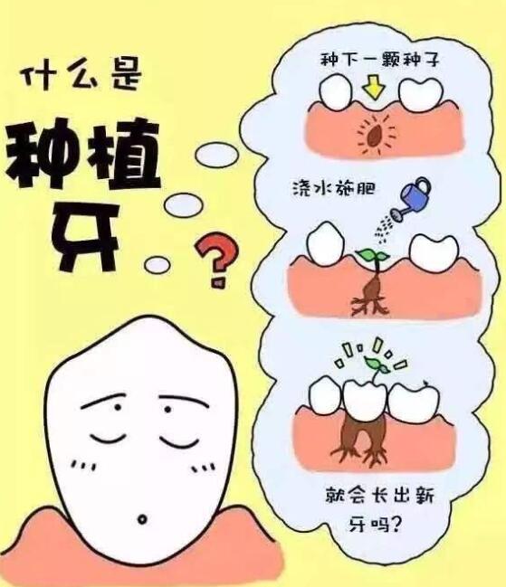 QQ截圖20211224104433.jpg QQ截圖20211224104433.jpg