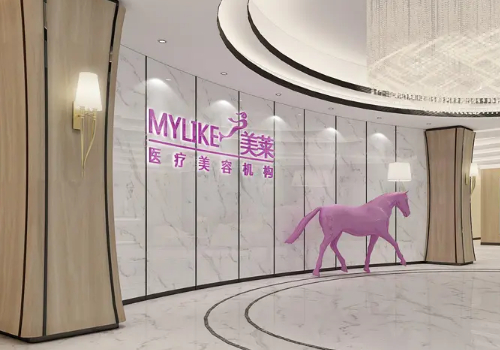 美萊醫(yī)療美容醫(yī)院.jpg