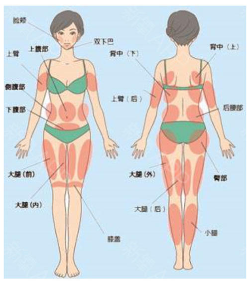 u=3775069969,2180340283&fm=26&gp=0.jpg u=3775069969,2180340283&fm=26&gp=0.jpg