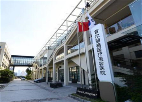 上海首爾麗格醫(yī)療美容醫(yī)院.jpg