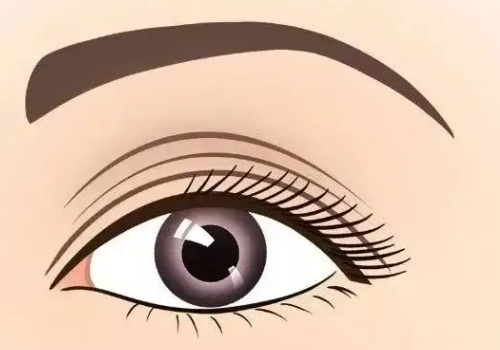 張晉寶是哪家醫(yī)院的醫(yī)生？?jī)?nèi)附醫(yī)生信息介紹！