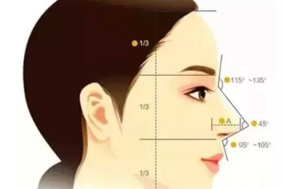 隆鼻動漫14.jpg 隆鼻動漫14.jpg