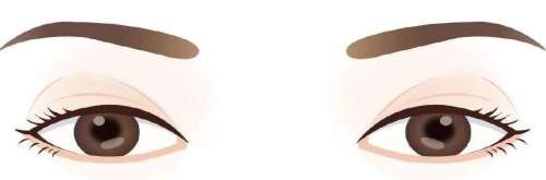雙眼皮