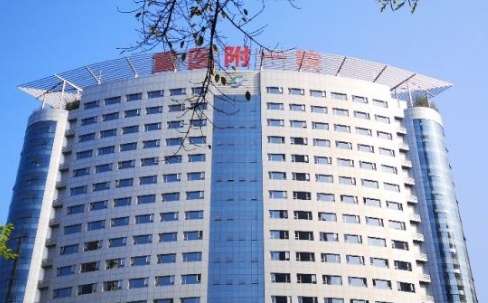 重慶肋軟骨隆鼻正規(guī)醫(yī)院盤點重醫(yī)大附一院、永川醫(yī)院、新橋醫(yī)院