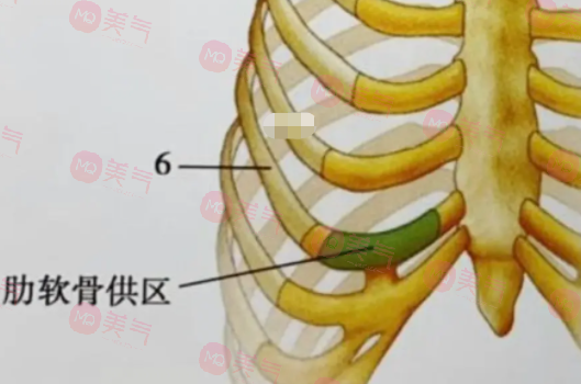 自體肋骨隆鼻的危害有哪些？手術(shù)風(fēng)險、疼痛和腫脹…