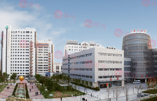 上海長海醫(yī)院整形外科