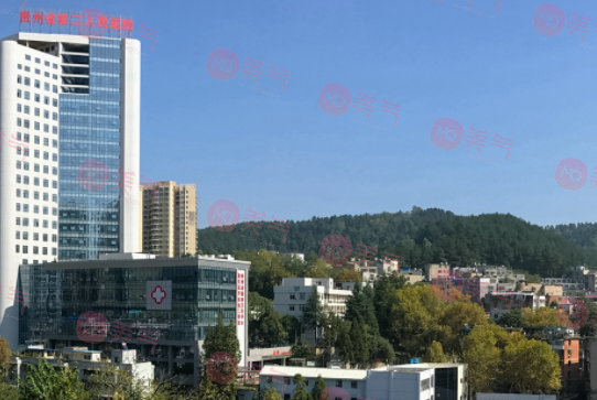貴州省第二人民醫(yī)院整形外科 貴州省第二人民醫(yī)院整形外科