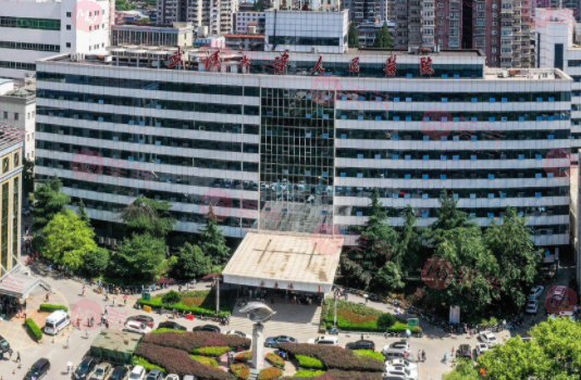 武漢大學(xué)人民醫(yī)院整形美容外科