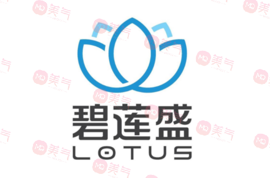 成都碧蓮盛植發(fā)