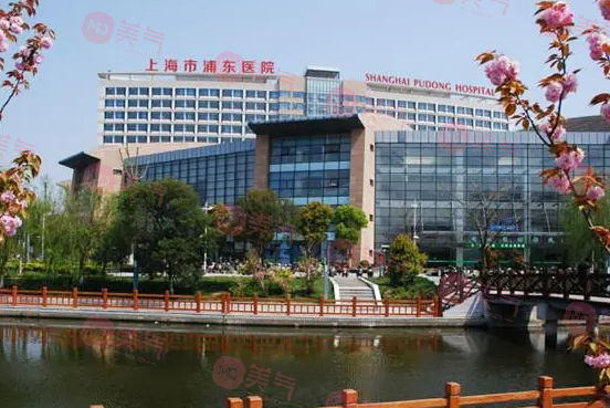 復(fù)旦大學(xué)附屬浦東醫(yī)院口腔科 復(fù)旦大學(xué)附屬浦東醫(yī)院口腔科